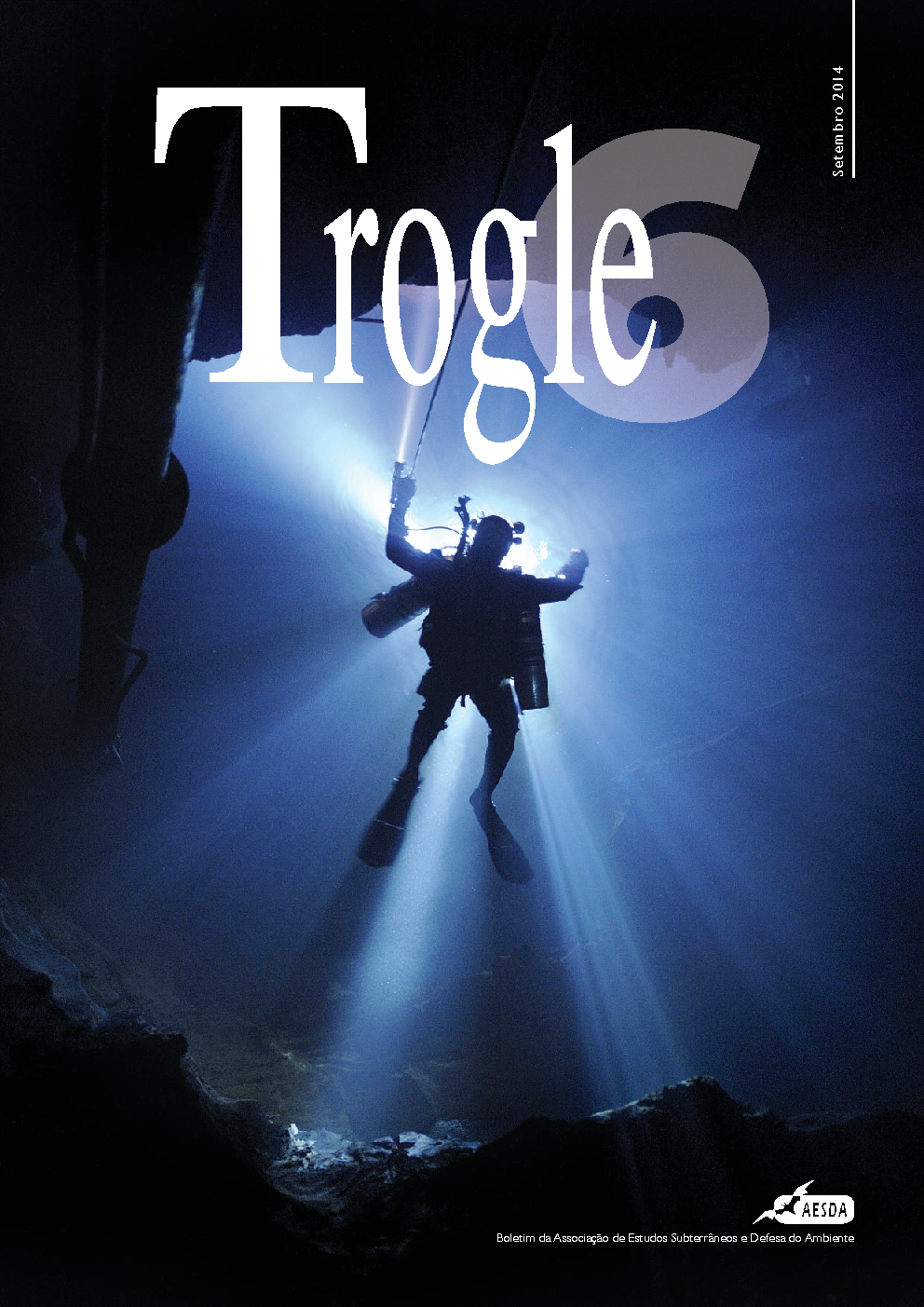 Capa da publicação