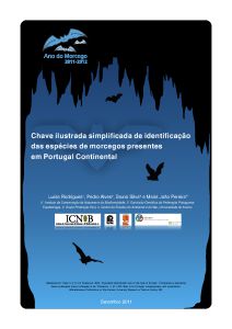 Capa de Chave ilustrada simplificada de identificação das espécies de morcegos presentes em Portugal Continental