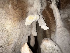Biotemas excêntricos.