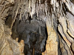 Galeria coberta de espeleotemas.