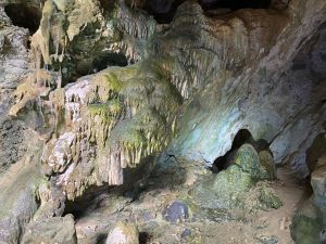 Espeleotemas cobertos de algas.