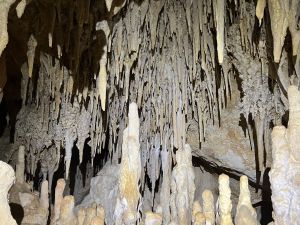 Espeleotemas abundantes.