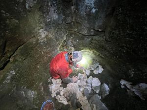 Fazenda a tirar algumas pedras.