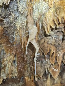 Espeleotema invulgar.