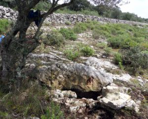 Entrada 2210