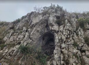 Entrada 2199