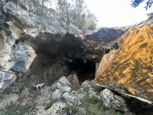Entrada 28