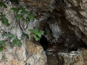 Entrada 43