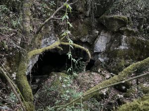 Entrada 65