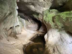 Entrada 85
